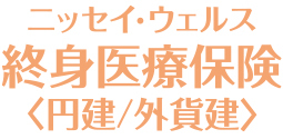 ニッセイ・ウェルス終身医療保険＜円建／外貨建＞